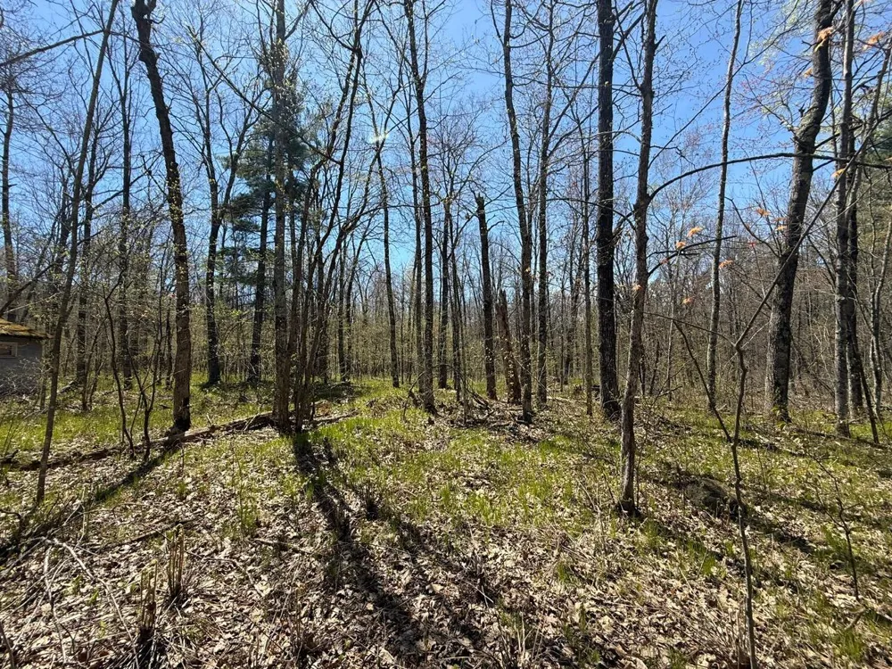 N10439 Tranus Lake Road Springbrook, WI 54875