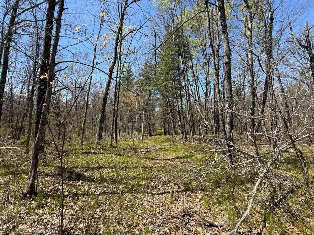 N10439 Tranus Lake Road Springbrook, WI 54875