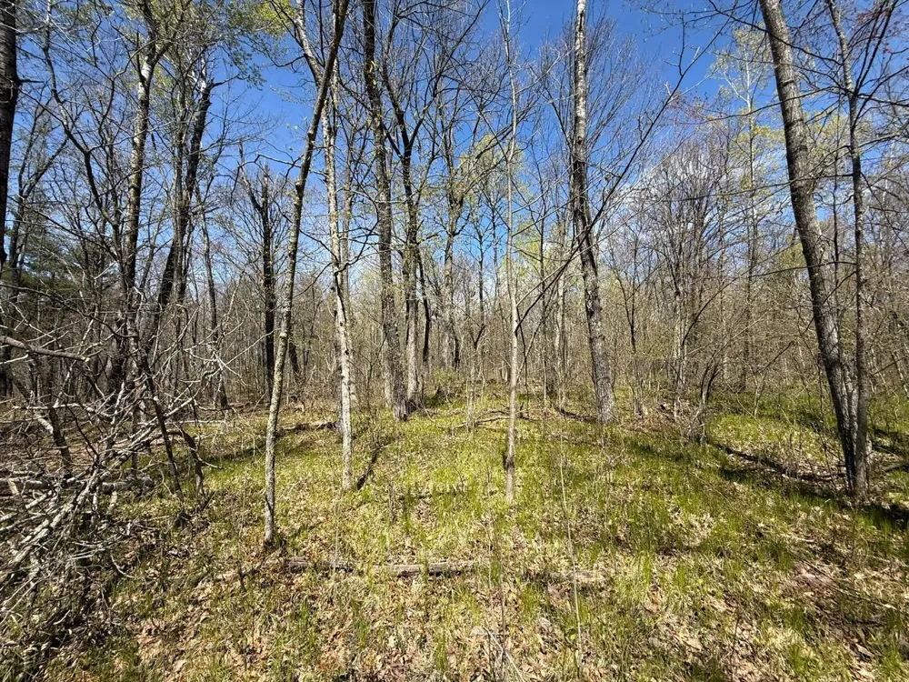 N10439 Tranus Lake Road Springbrook, WI 54875