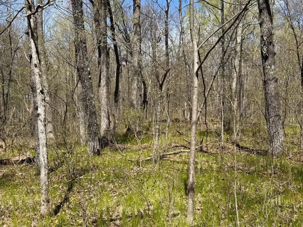 N10439 Tranus Lake Road Springbrook, WI 54875