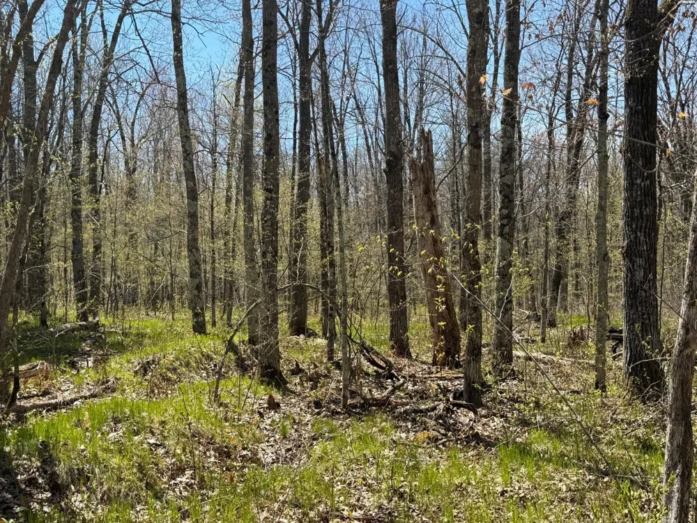 N10439 Tranus Lake Road Springbrook, WI 54875