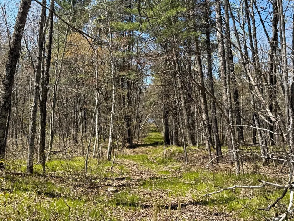 N10439 Tranus Lake Road Springbrook, WI 54875