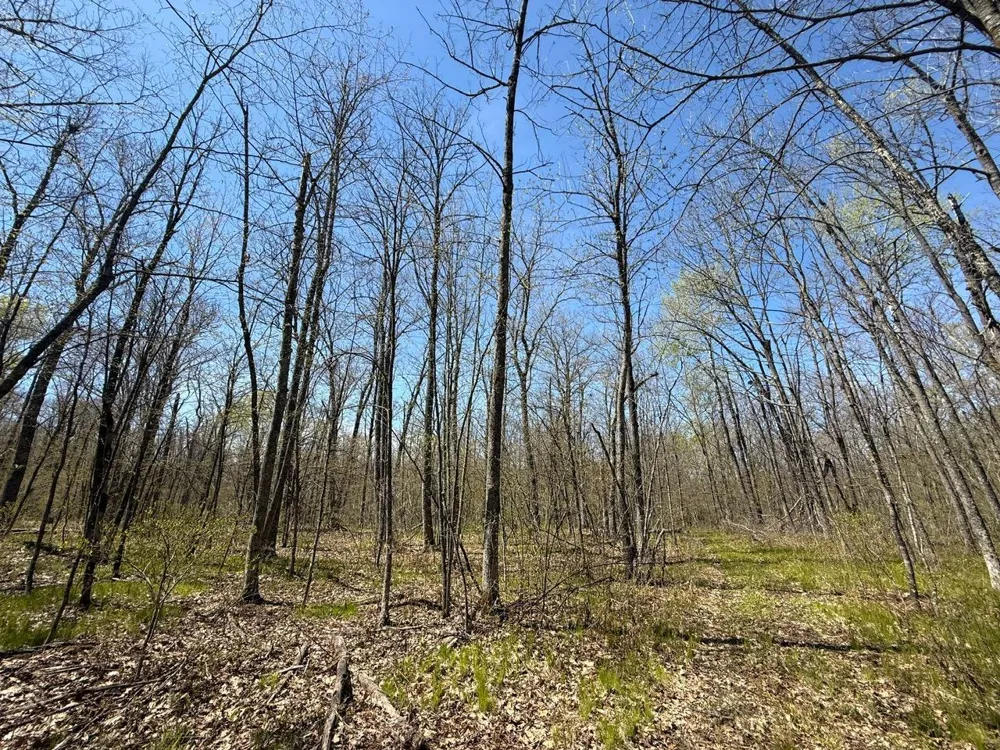 N10439 Tranus Lake Road Springbrook, WI 54875