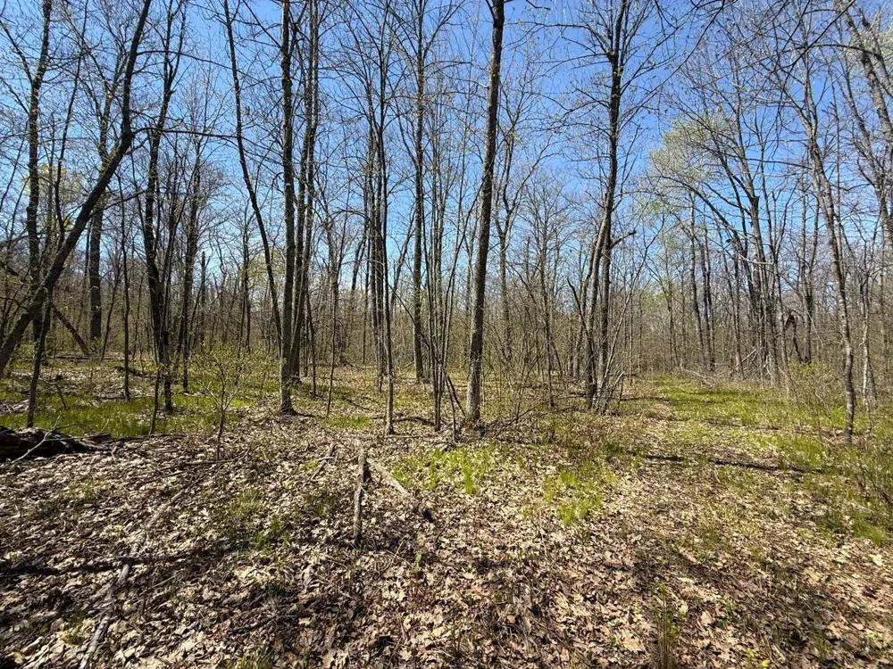 N10439 Tranus Lake Road Springbrook, WI 54875