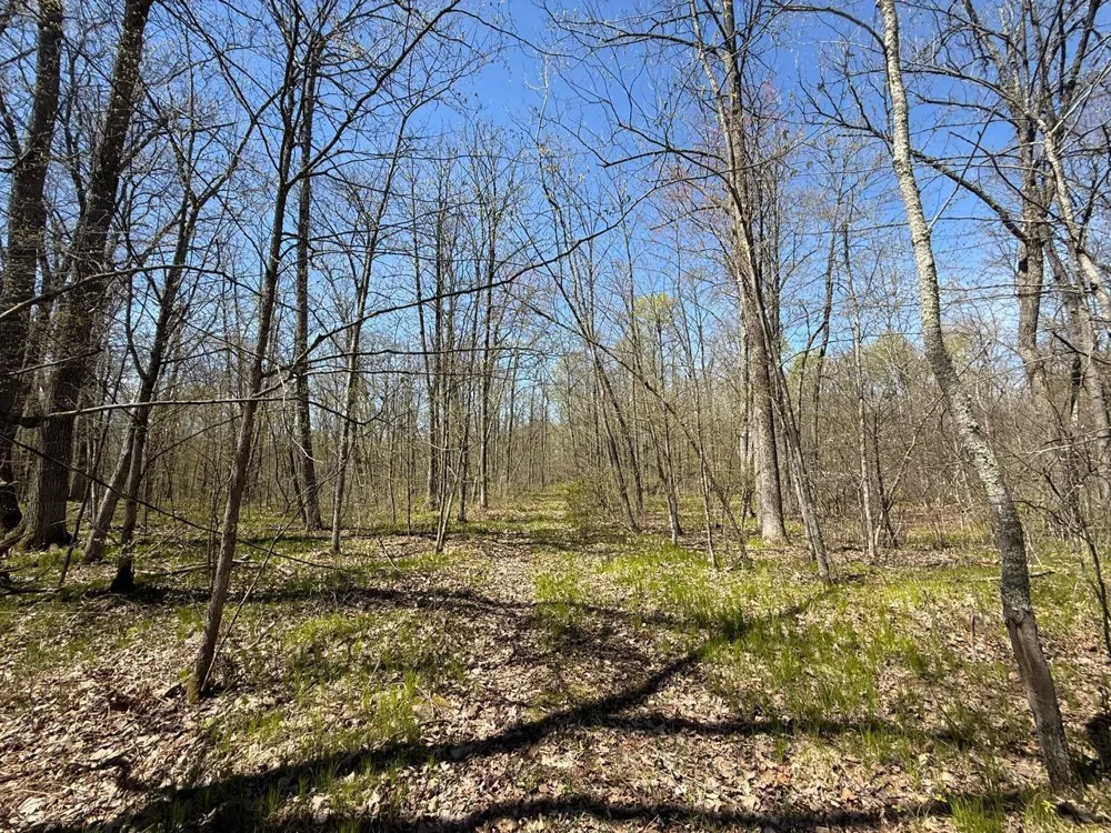 N10439 Tranus Lake Road Springbrook, WI 54875
