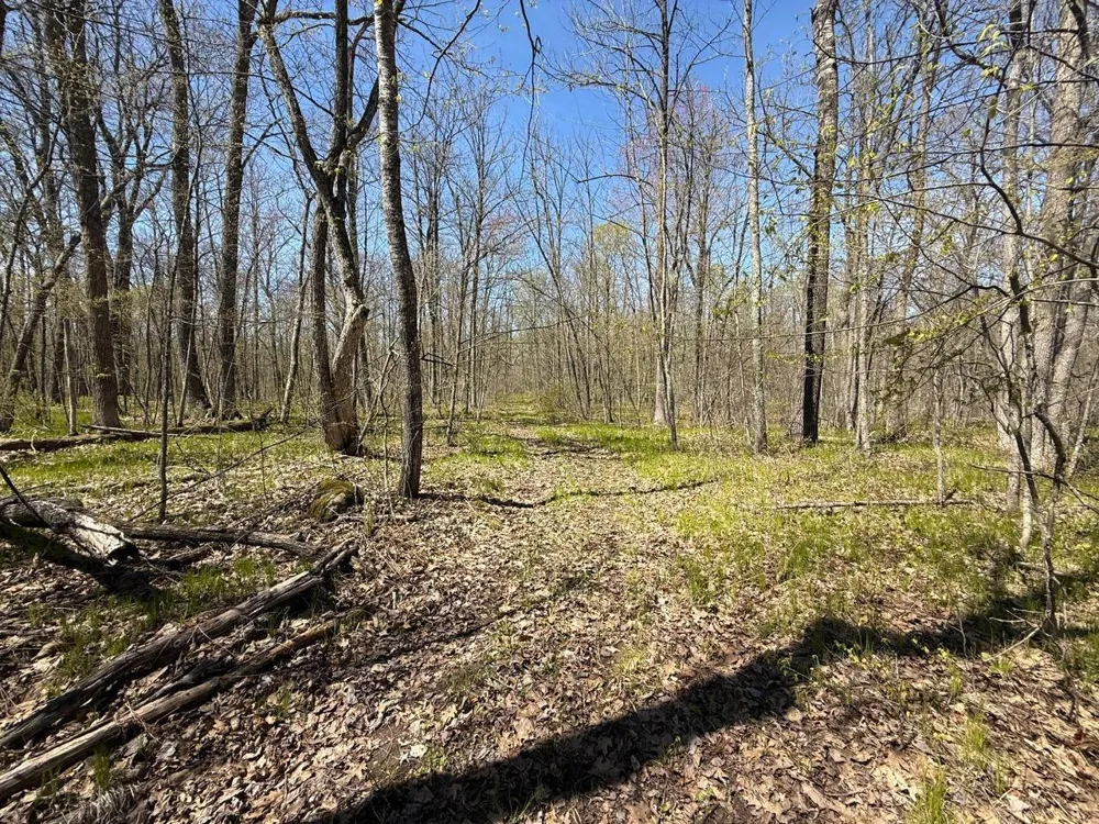 N10439 Tranus Lake Road Springbrook, WI 54875