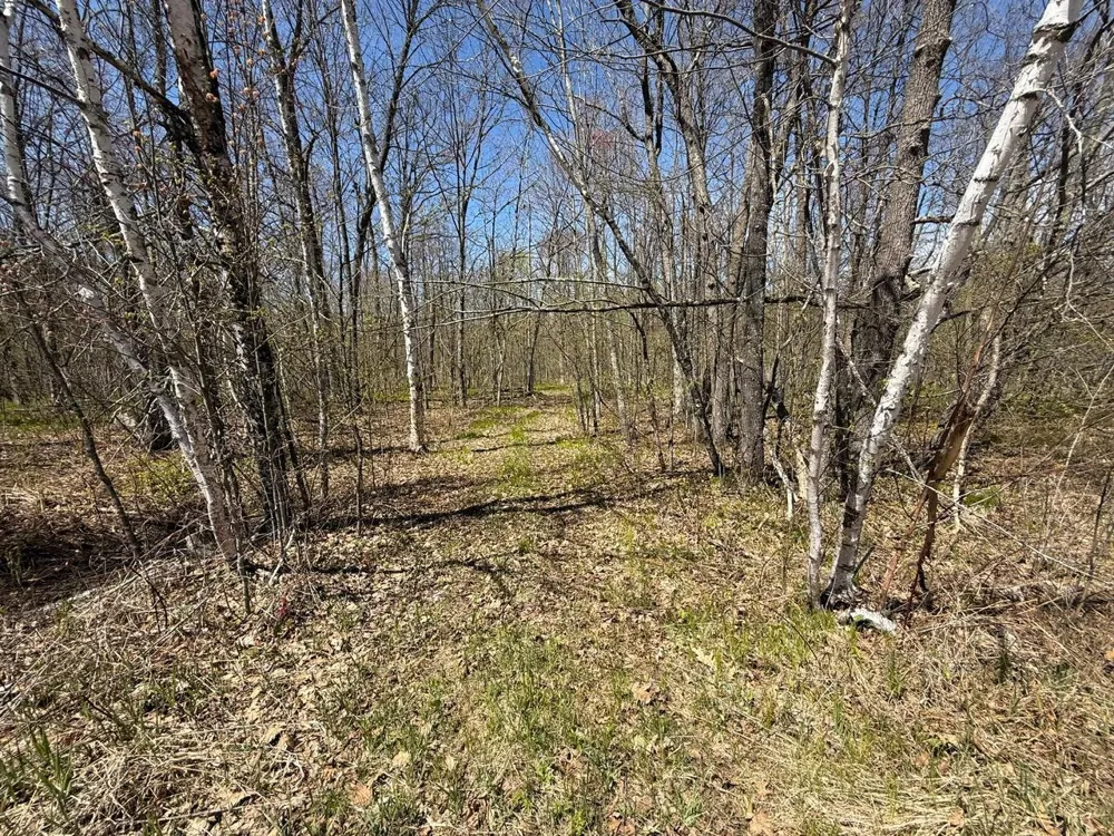 N10439 Tranus Lake Road Springbrook, WI 54875