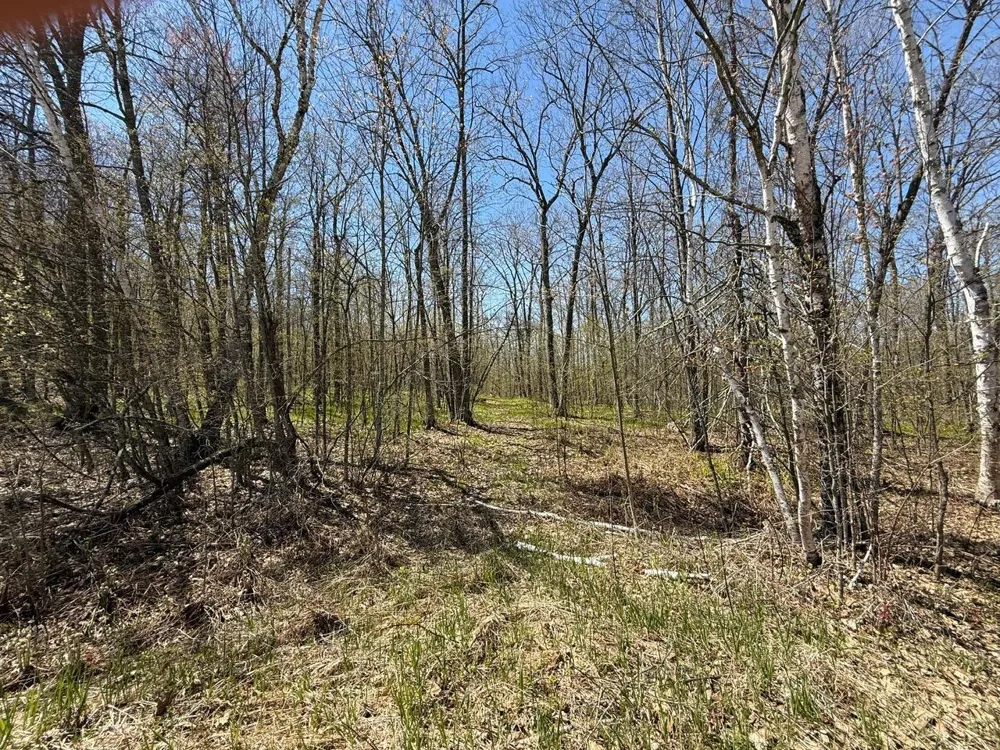 N10439 Tranus Lake Road Springbrook, WI 54875
