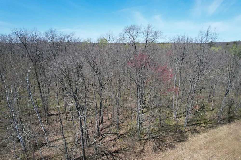 N10439 Tranus Lake Road Springbrook, WI 54875