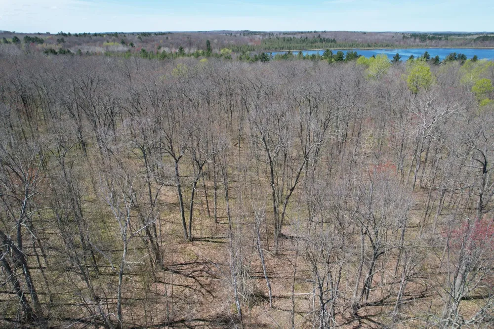 N10439 Tranus Lake Road Springbrook, WI 54875
