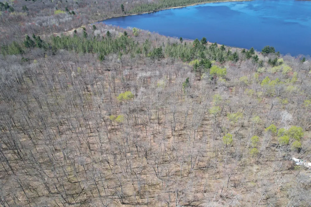 N10439 Tranus Lake Road Springbrook, WI 54875
