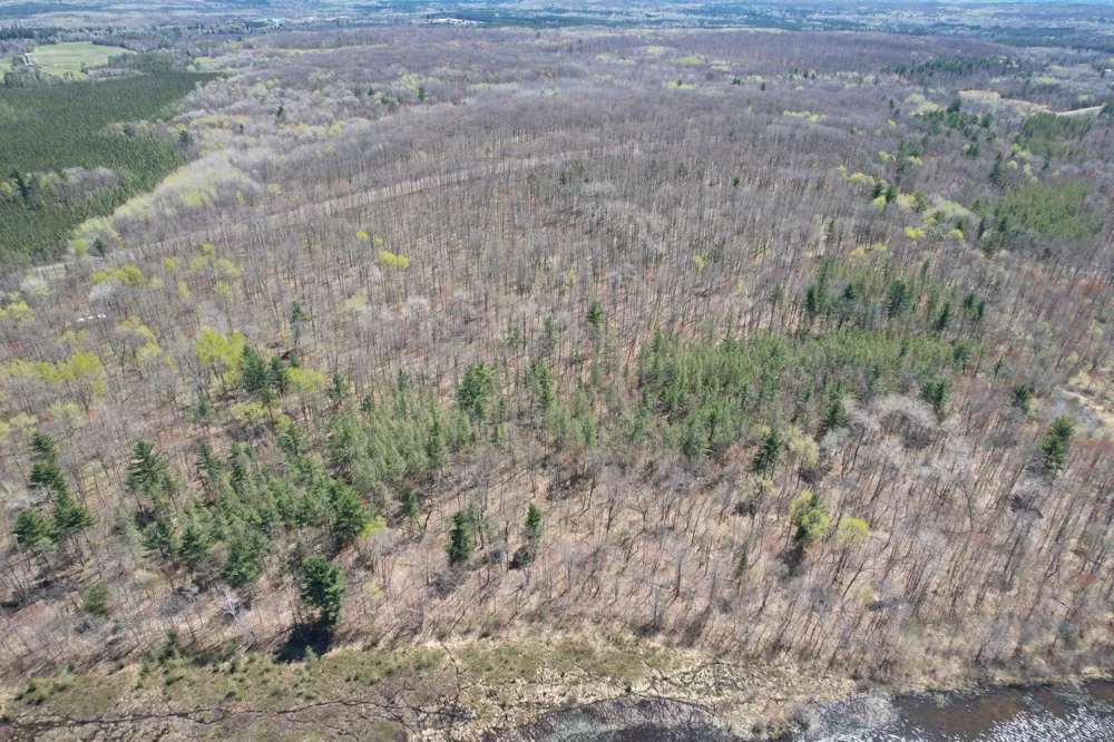 N10439 Tranus Lake Road Springbrook, WI 54875