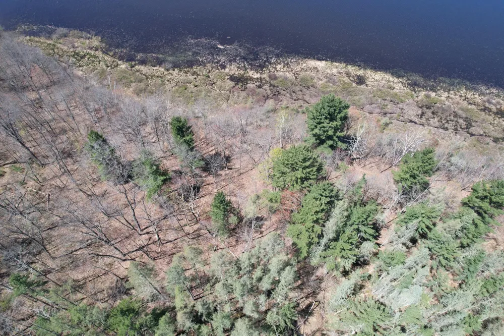 N10439 Tranus Lake Road Springbrook, WI 54875