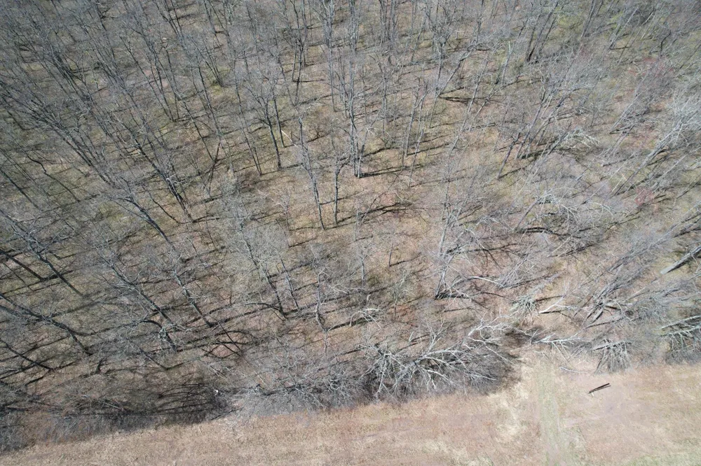 N10439 Tranus Lake Road Springbrook, WI 54875