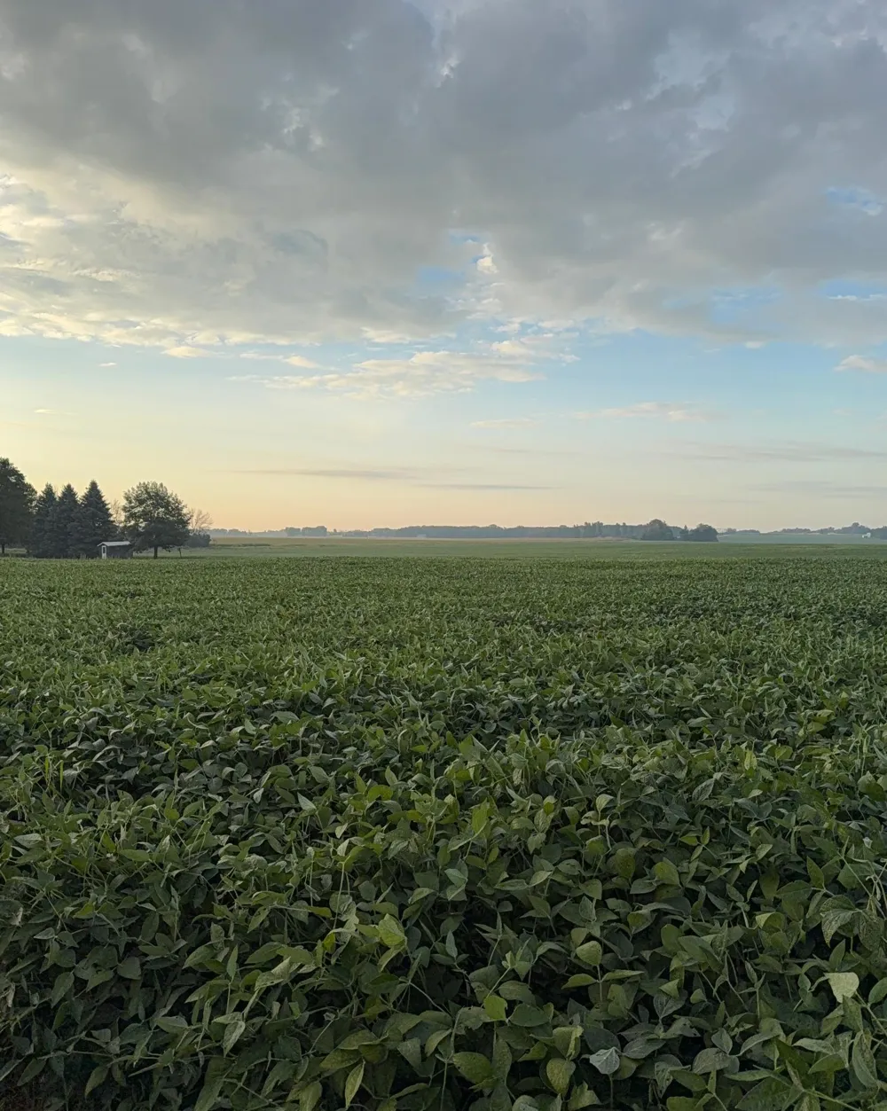 TBD 265th Avenue Belle Plaine, MN 56011