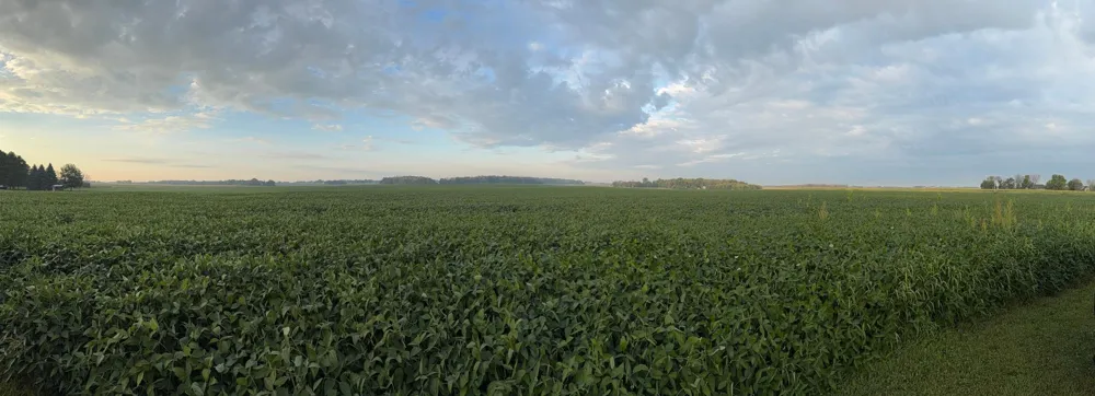 TBD 265th Avenue Belle Plaine, MN 56011