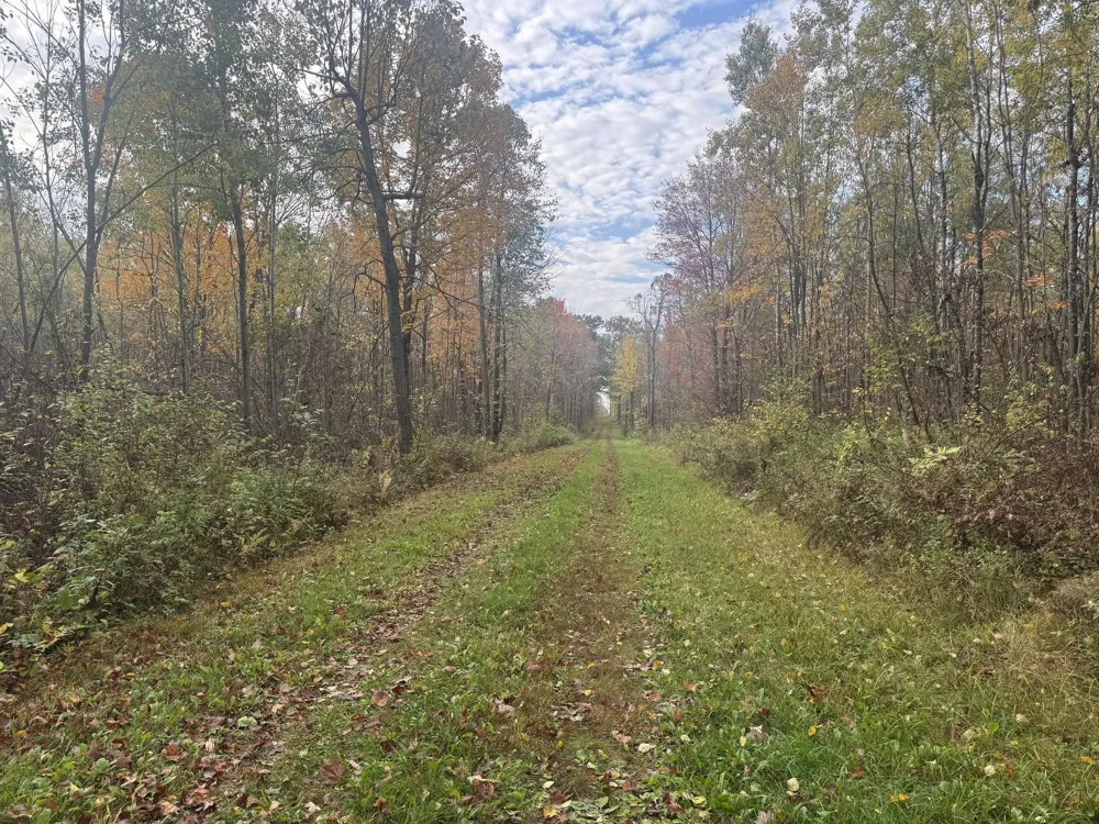 TBD State Road 40 Exeland, WI 54835