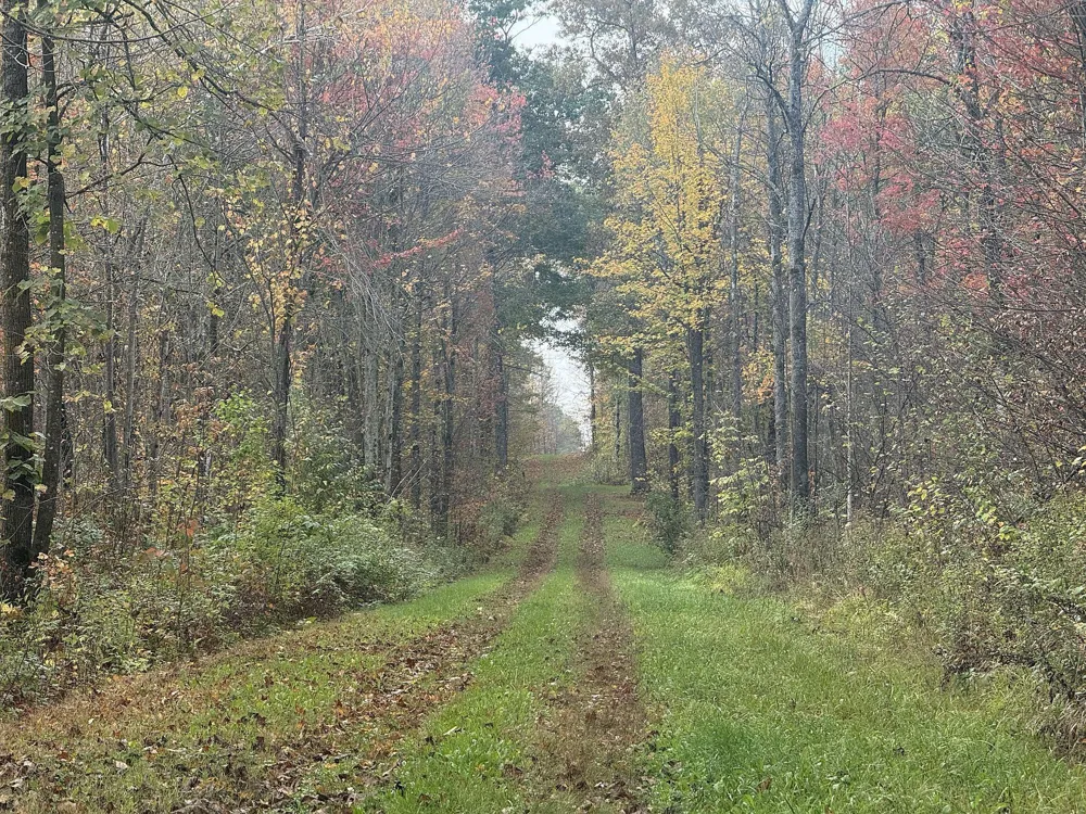 TBD State Road 40 Exeland, WI 54835