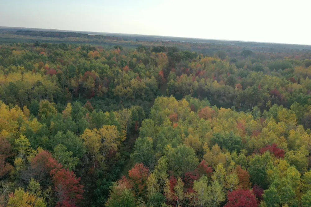 TBD State Road 40 Exeland, WI 54835