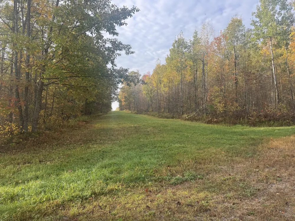 TBD State Road 40 Exeland, WI 54835