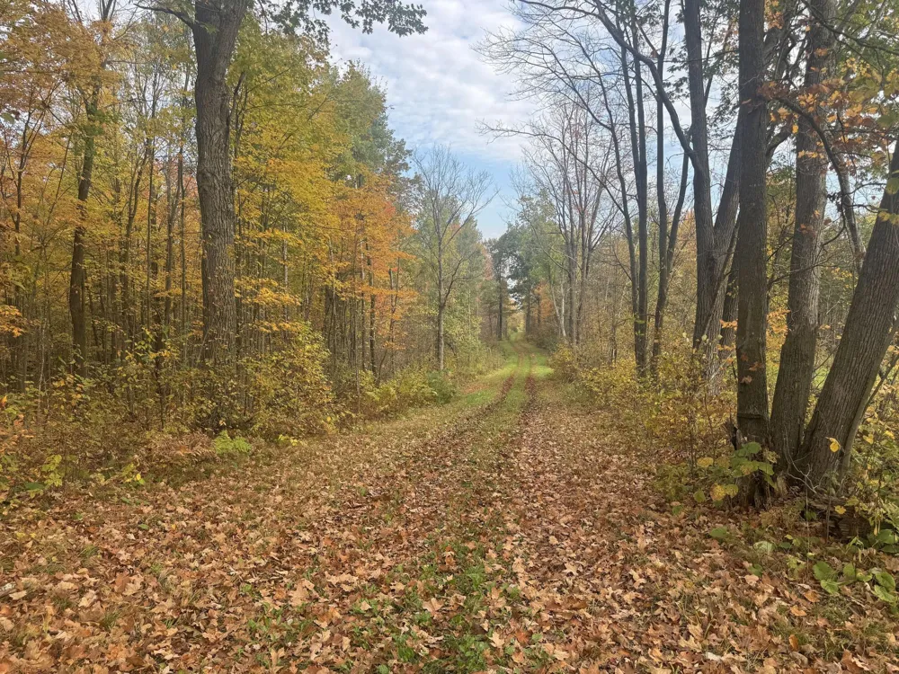 TBD State Road 40 Exeland, WI 54835