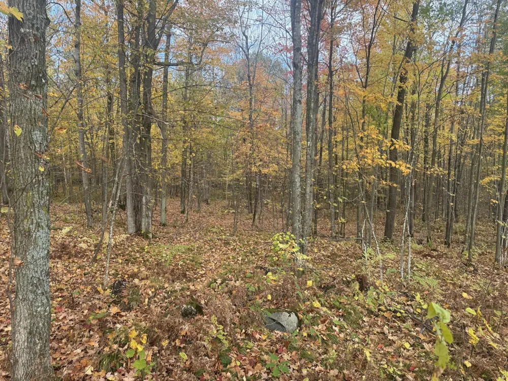 TBD State Road 40 Exeland, WI 54835