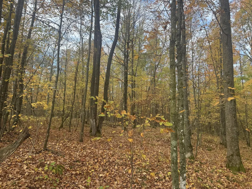 TBD State Road 40 Exeland, WI 54835