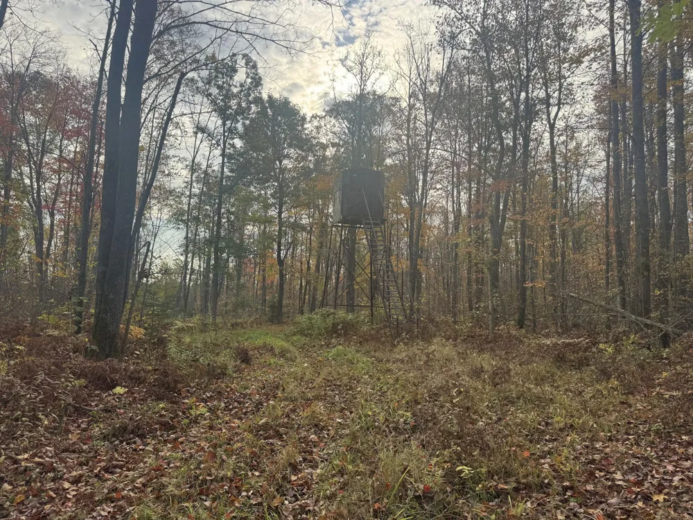 TBD State Road 40 Exeland, WI 54835