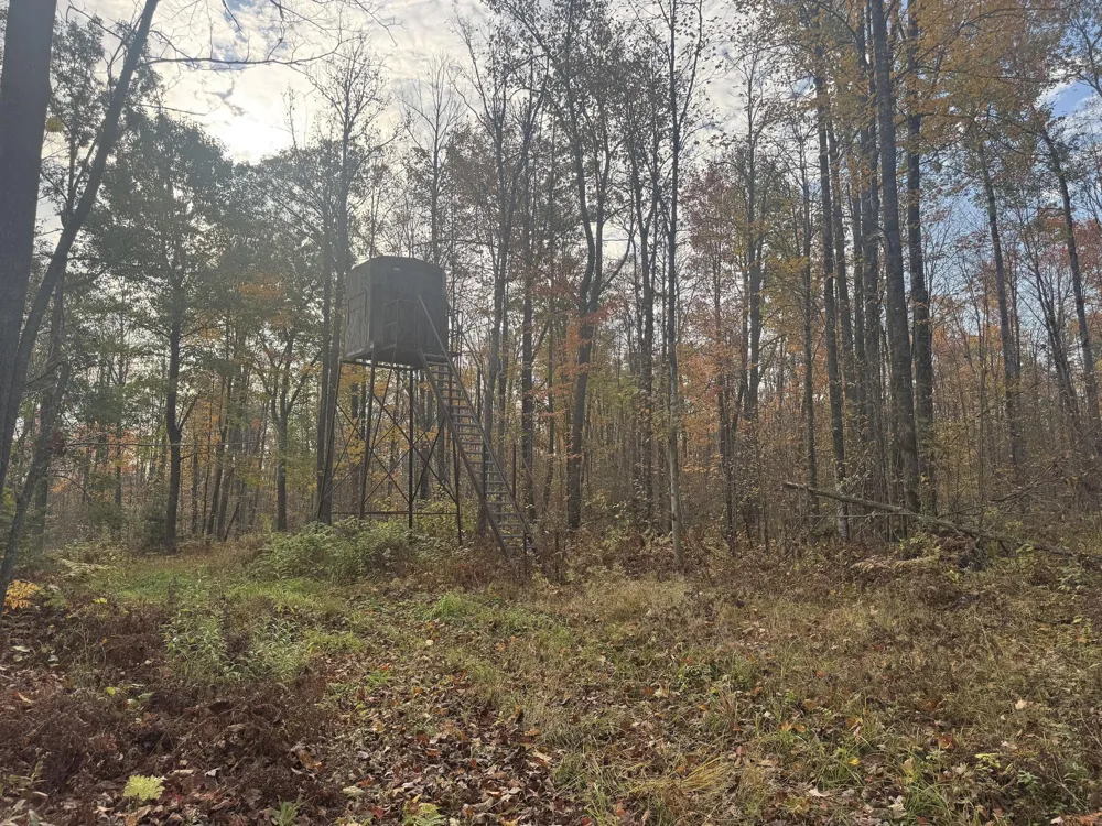 TBD State Road 40 Exeland, WI 54835