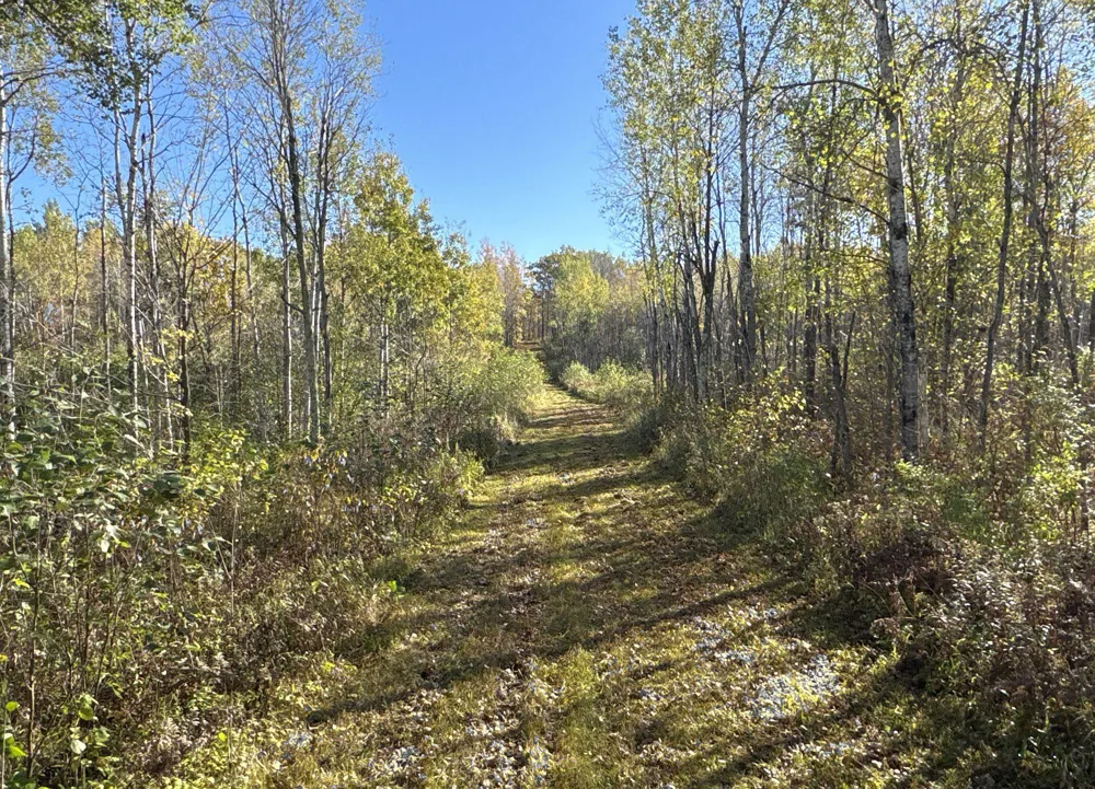 TBD State Road 40 Exeland, WI 54835