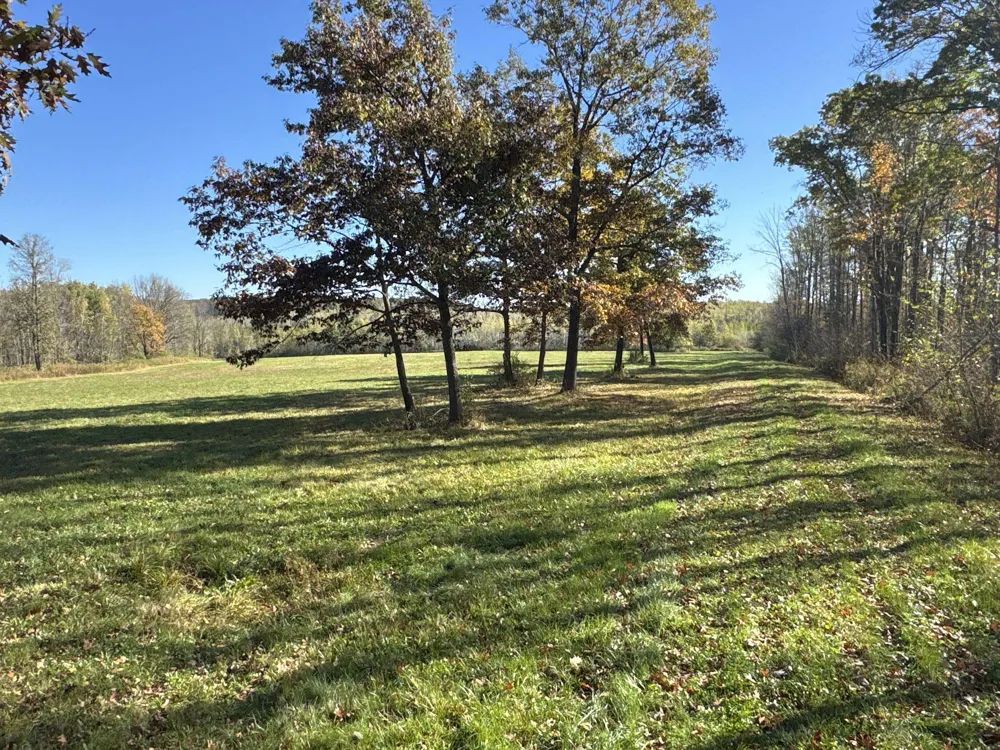 TBD State Road 40 Exeland, WI 54835