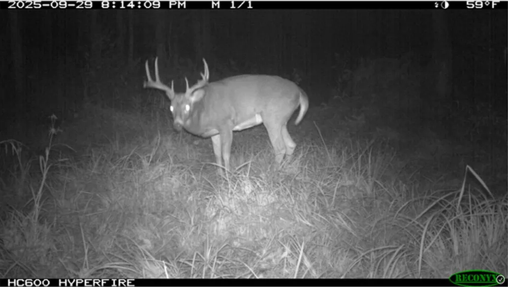 TBD State Road 40 Exeland, WI 54835
