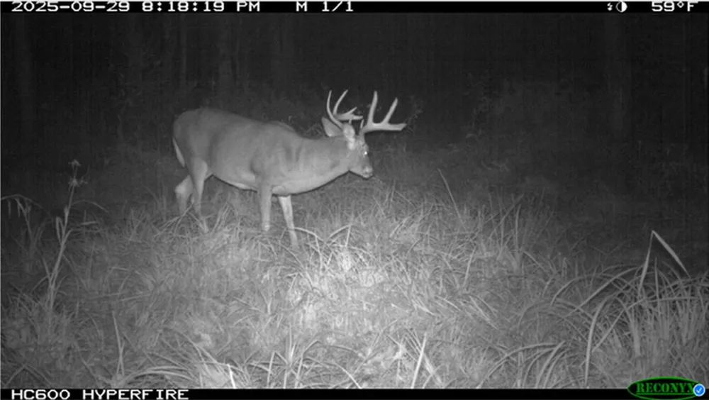 TBD State Road 40 Exeland, WI 54835