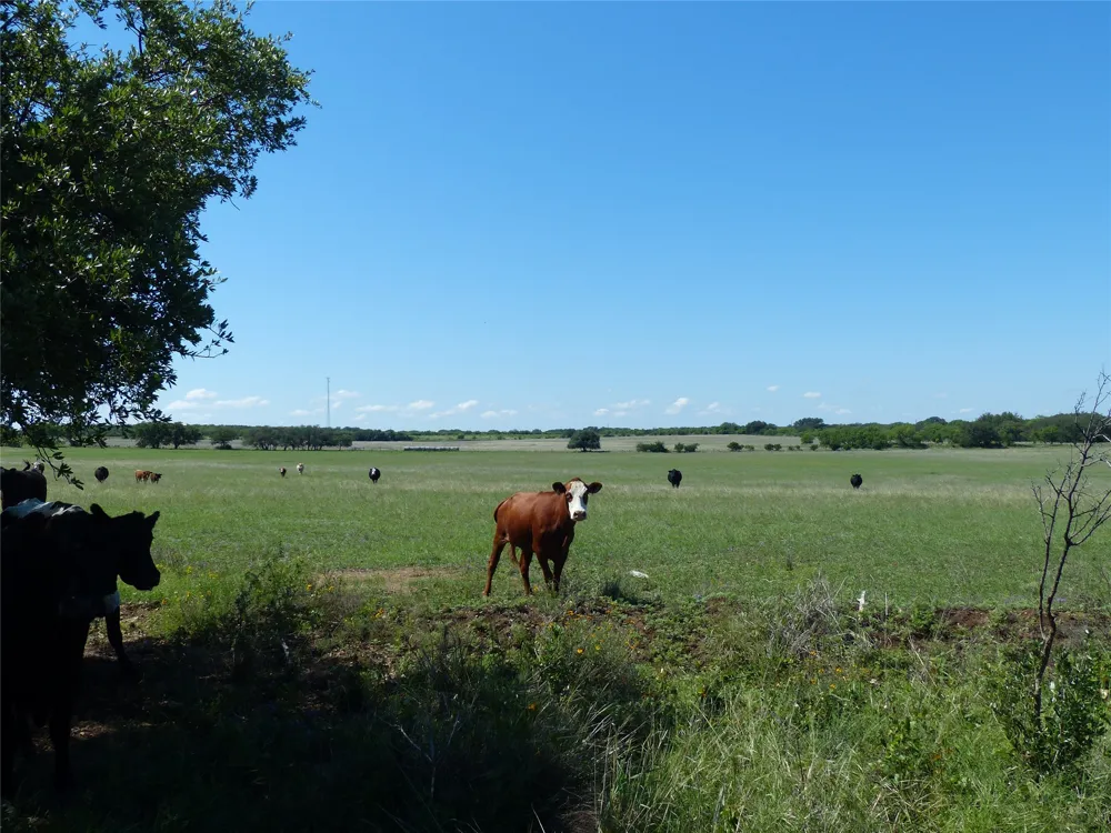 1825 FM 1028 Rochelle, TX 76872