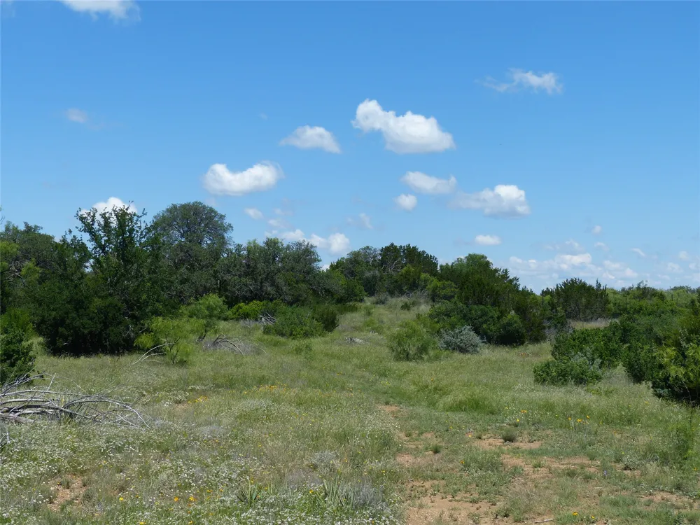 1825 FM 1028 Rochelle, TX 76872