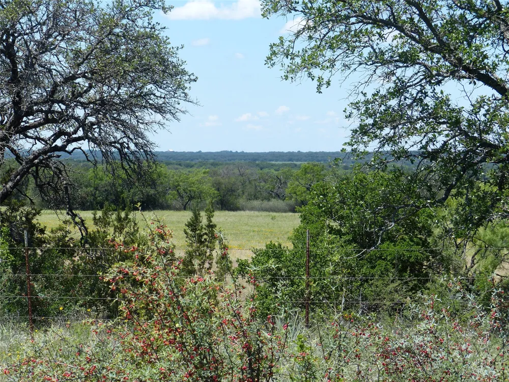 1825 FM 1028 Rochelle, TX 76872
