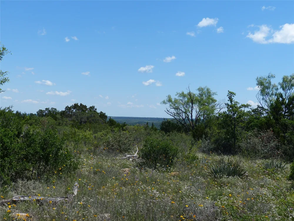 1825 FM 1028 Rochelle, TX 76872