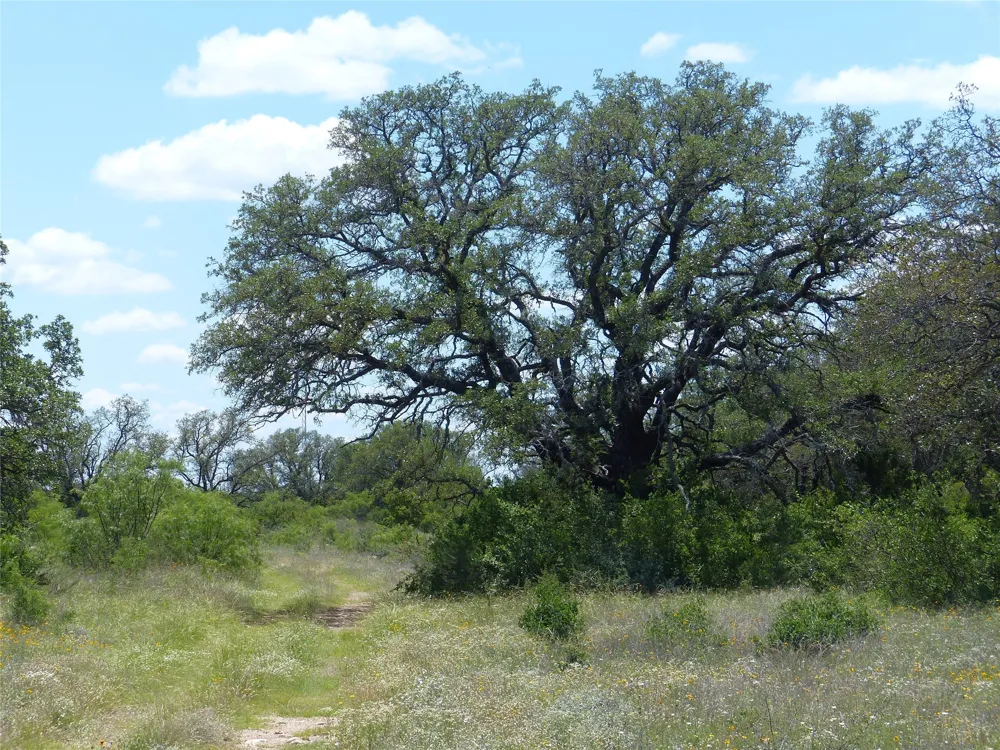 1825 FM 1028 Rochelle, TX 76872