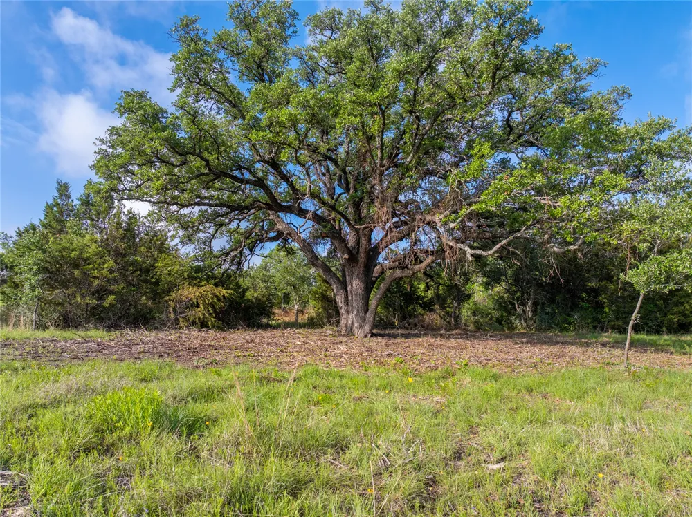 CR103 Burnet, TX 76550
