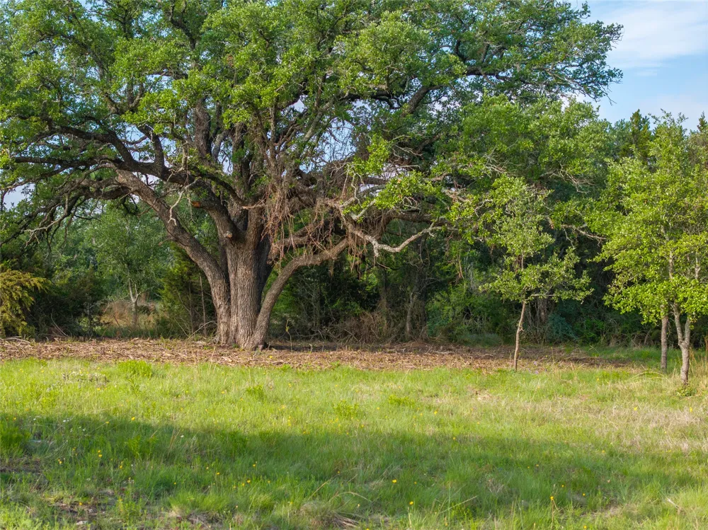 CR103 Burnet, TX 76550