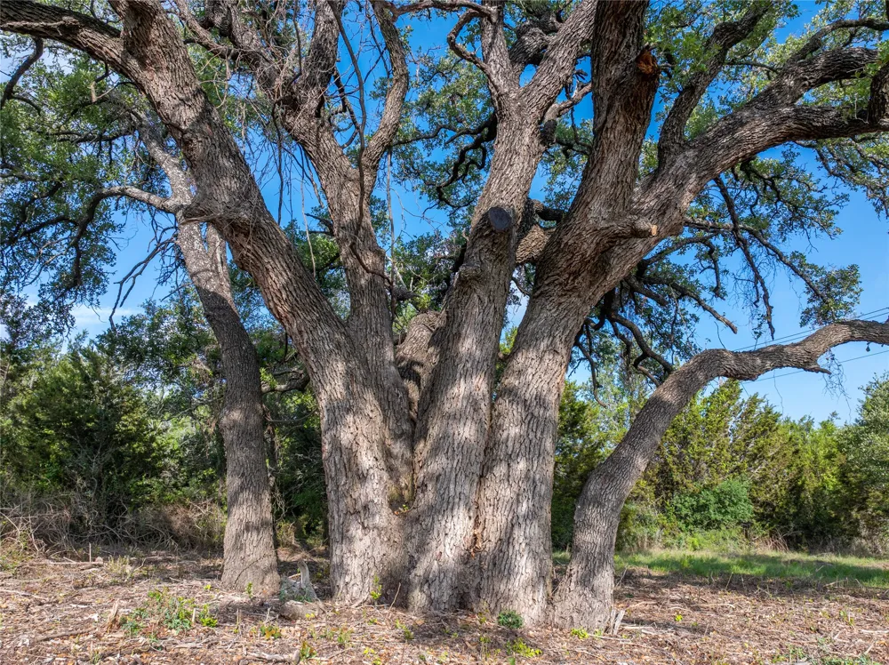 CR103 Burnet, TX 76550