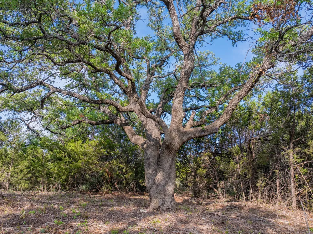 CR103 Burnet, TX 76550