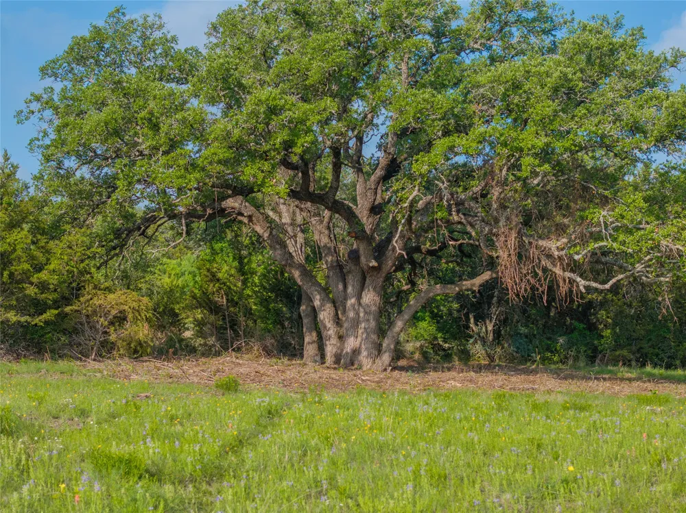 CR103 Burnet, TX 76550