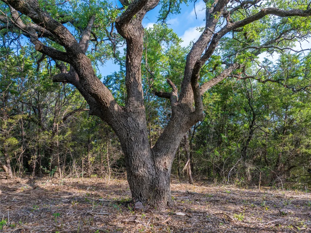 CR103 Burnet, TX 76550