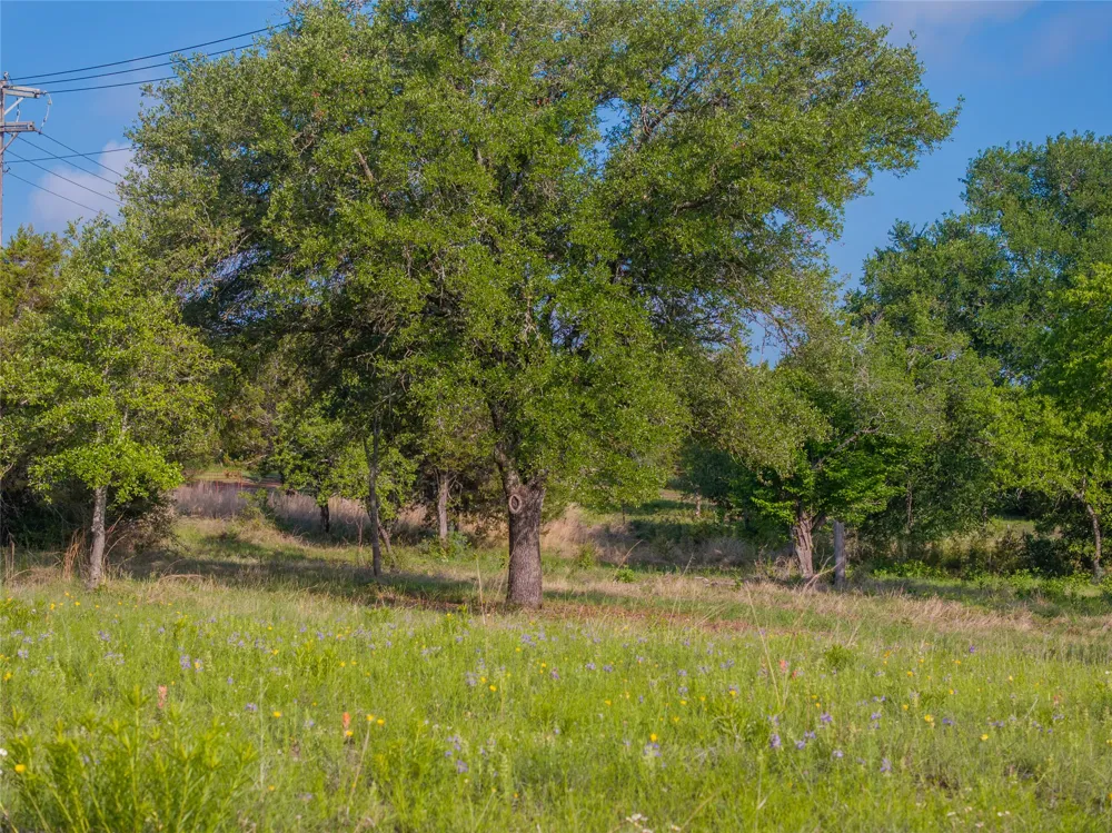 CR103 Burnet, TX 76550