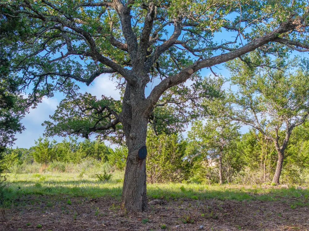 CR103 Burnet, TX 76550