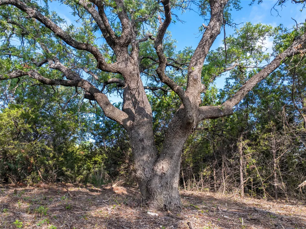 CR103 Burnet, TX 76550