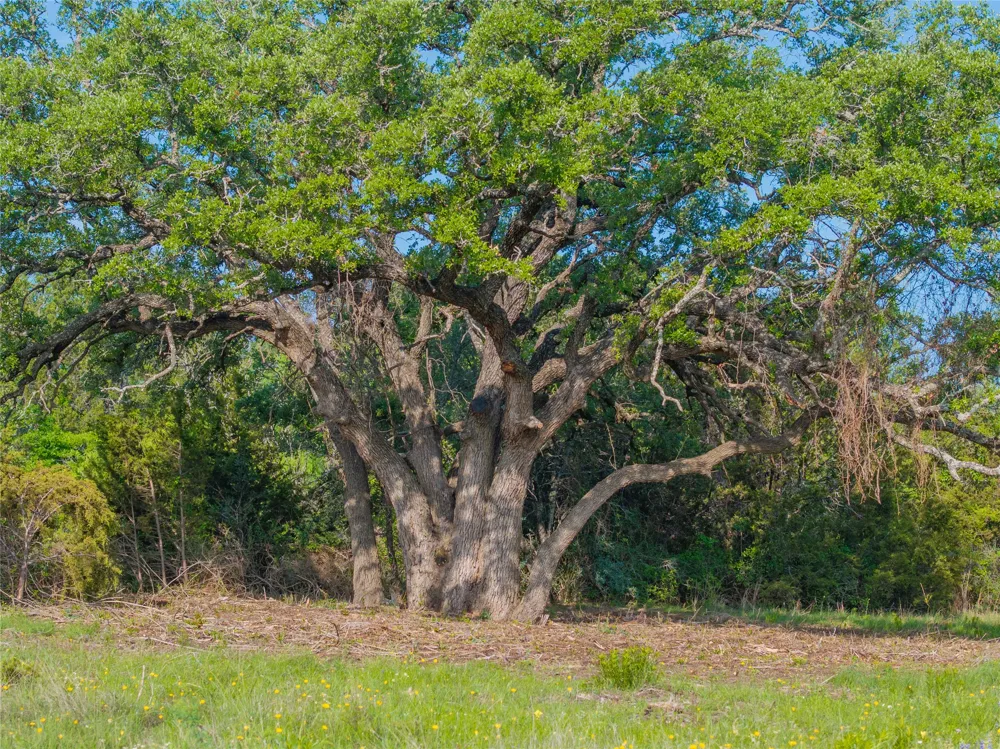CR103 Burnet, TX 76550