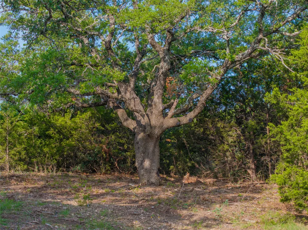 CR103 Burnet, TX 76550