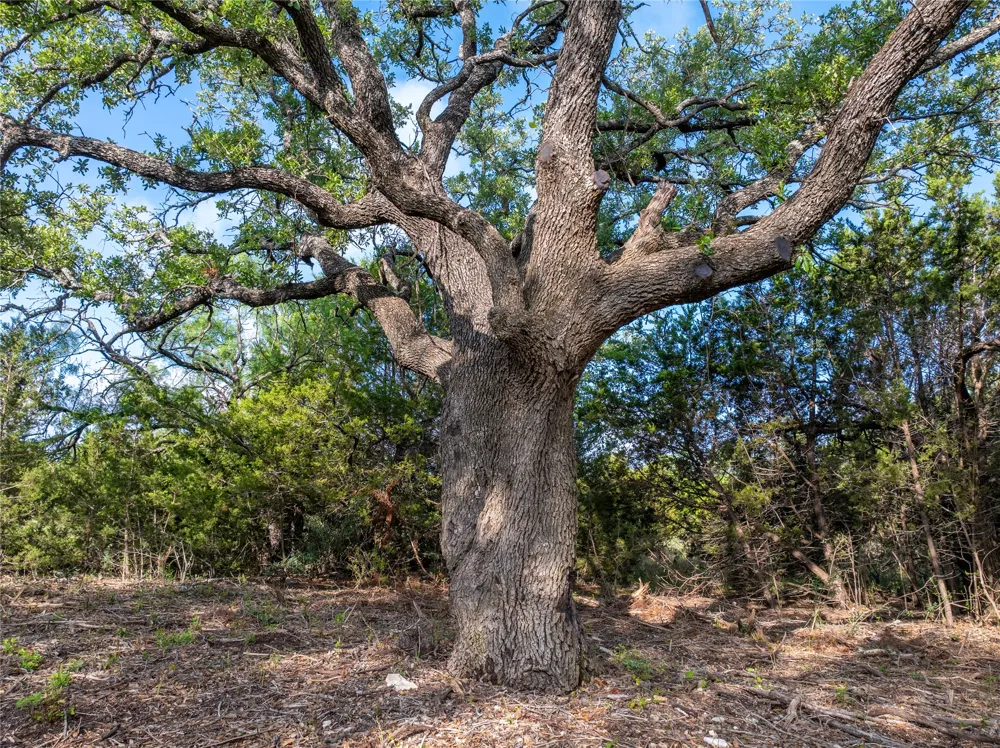 CR103 Burnet, TX 76550